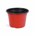 GHIVECI PLASTIC
