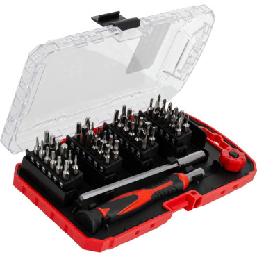 Set varfuri cu surubelnita precizie - 51p.