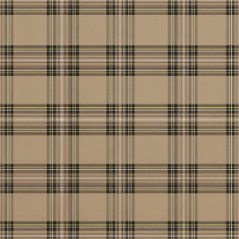 fata masa pvc - 160g/m2 / 1.37x20m / oxford-camel