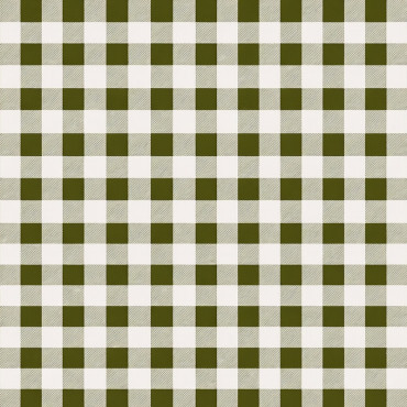 Fata masa pvc - 160g/m2 / 1.37x20m / caro-olive