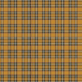 fata masa pvc - 160g/m2 / 1.37x20m / caro-multi-mustar